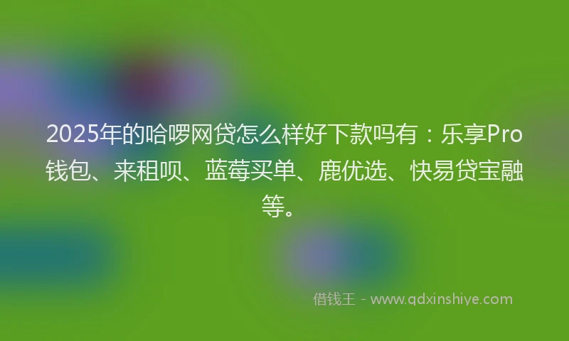 2025年的哈啰网贷怎么样好下款吗有：乐享Pro钱包、来租呗、蓝莓买单、鹿优选、快易贷宝融等。
