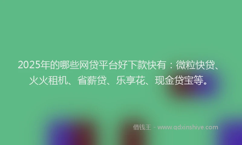 2025年的哪些网贷平台好下款快有：微粒快贷、火火租机、省薪贷、乐享花、现金贷宝等。