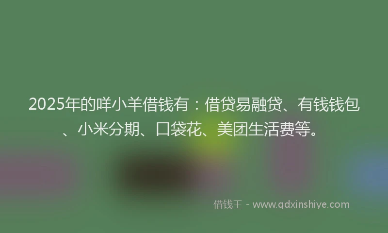 2025年的咩小羊借钱有：借贷易融贷、有钱钱包、小米分期、口袋花、美团生活费等。