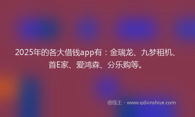 2025年的各大借钱app有：金瑞龙、九梦租机、首E家、爱鸿森、分乐购等。