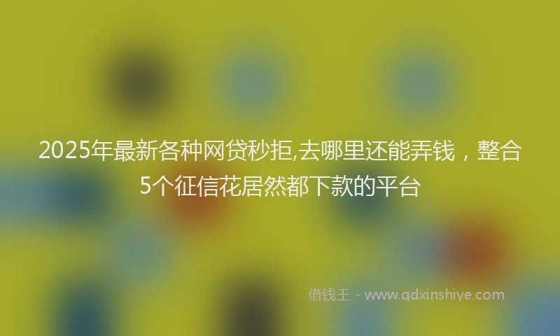 2025年最新各种网贷秒拒,去哪里还能弄钱，整合5个征信花居然都下款的平台