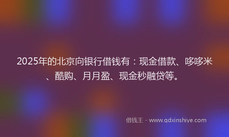 2025年的北京向银行借钱有：现金借款、哆哆米、酷购、月月盈、现金秒融贷等。