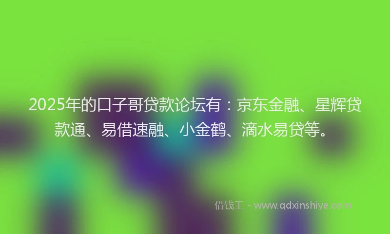 2025年的口子哥贷款论坛有：京东金融、星辉贷款通、易借速融、小金鹤、滴水易贷等。