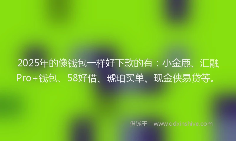 2025年的像钱包一样好下款的有：小金鹿、汇融Pro+钱包、58好借、琥珀买单、现金侠易贷等。