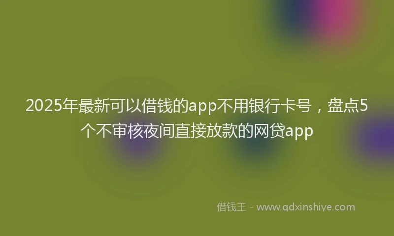 2025年最新可以借钱的app不用银行卡号，盘点5个不审核夜间直接放款的网贷app