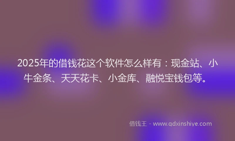 2025年的借钱花这个软件怎么样有：现金站、小牛金条、天天花卡、小金库、融悦宝钱包等。