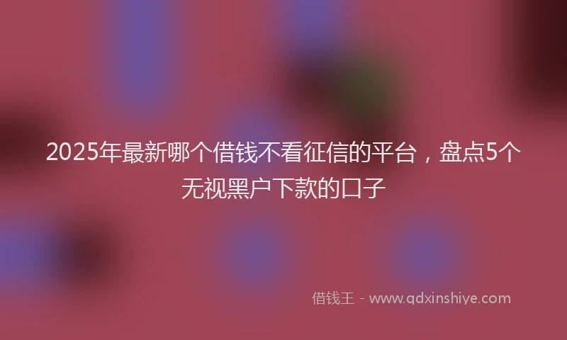 2025年最新哪个借钱不看征信的平台，盘点5个无视黑户下款的口子