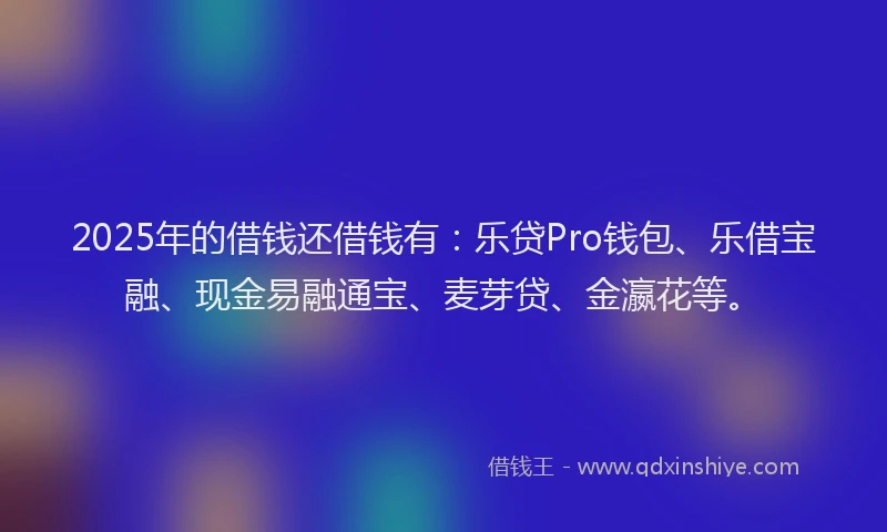 2025年的借钱还借钱有：乐贷Pro钱包、乐借宝融、现金易融通宝、麦芽贷、金瀛花等。