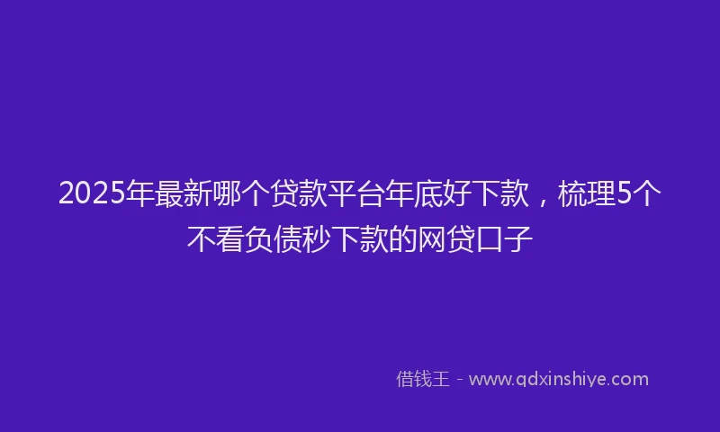 2025年最新哪个贷款平台年底好下款，梳理5个不看负债秒下款的网贷口子