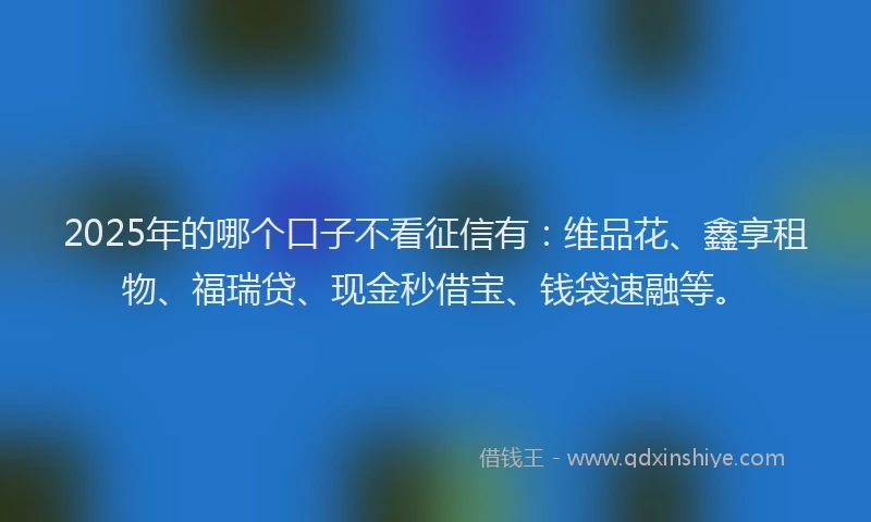 2025年的哪个口子不看征信有：维品花、鑫享租物、福瑞贷、现金秒借宝、钱袋速融等。