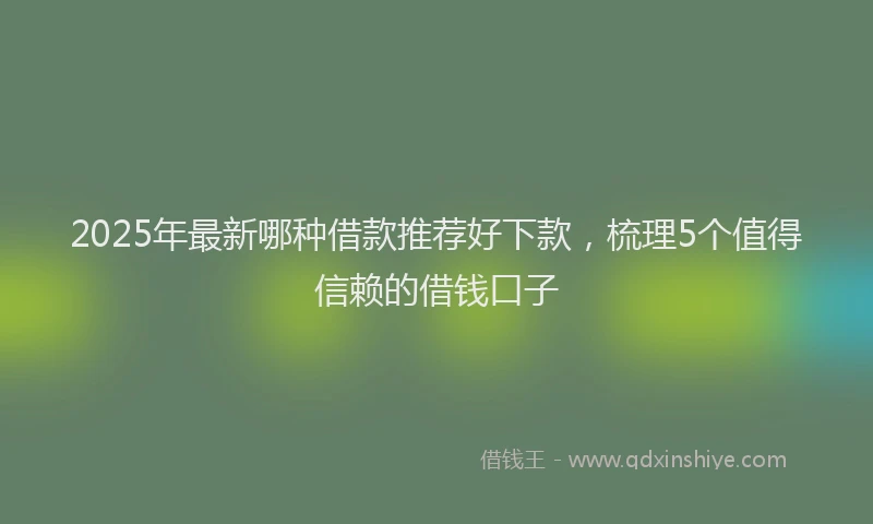 2025年最新哪种借款推荐好下款，梳理5个值得信赖的借钱口子