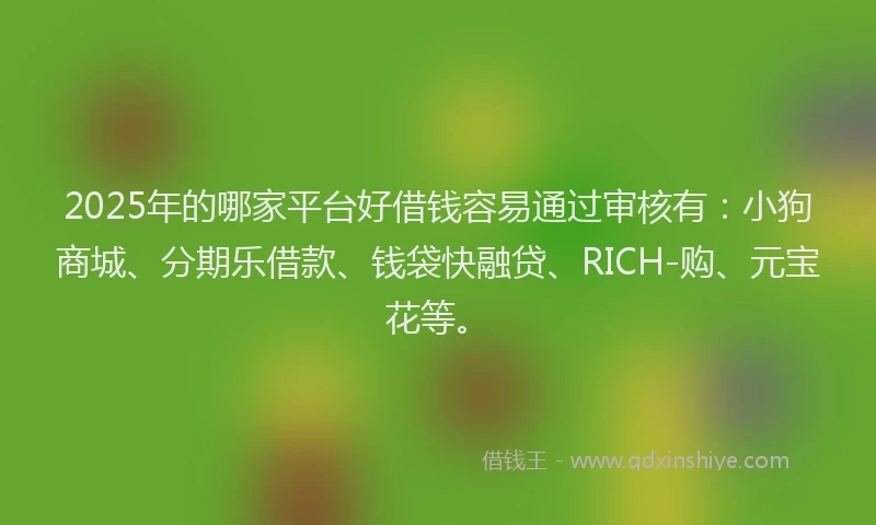 2025年的哪家平台好借钱容易通过审核有：小狗商城、分期乐借款、钱袋快融贷、RICH-购、元宝花等。