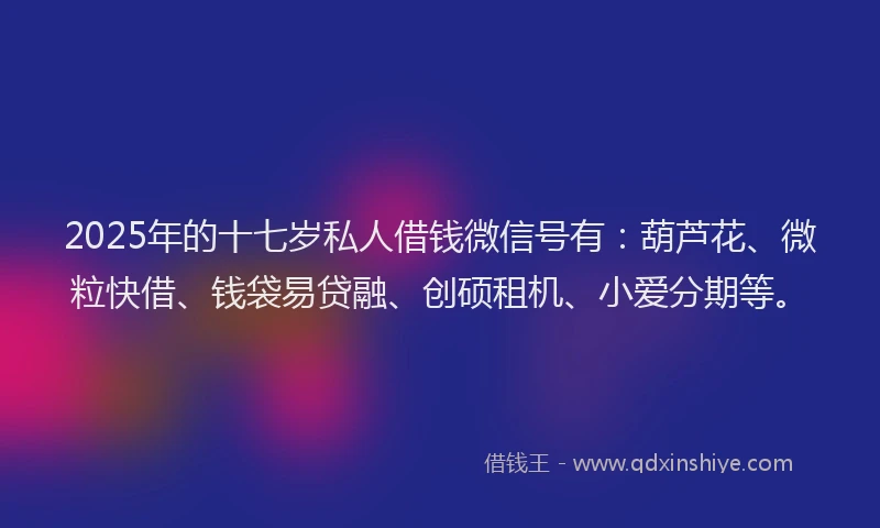2025年的十七岁私人借钱微信号有：葫芦花、微粒快借、钱袋易贷融、创硕租机、小爱分期等。