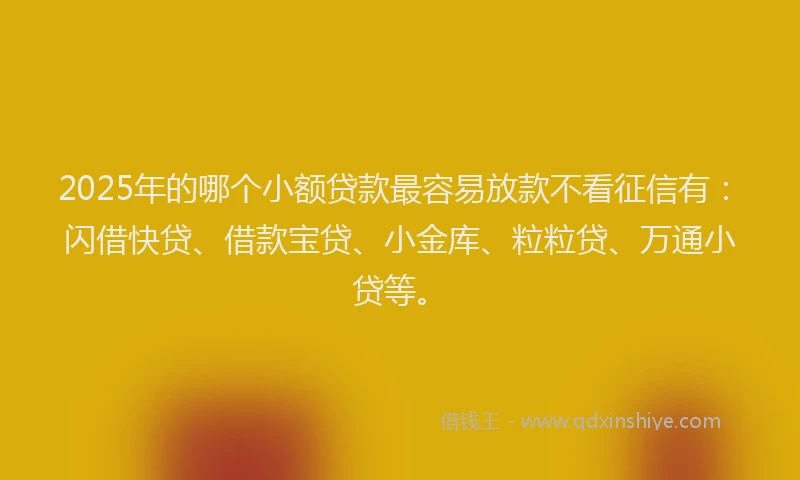 2025年的哪个小额贷款最容易放款不看征信有：闪借快贷、借款宝贷、小金库、粒粒贷、万通小贷等。
