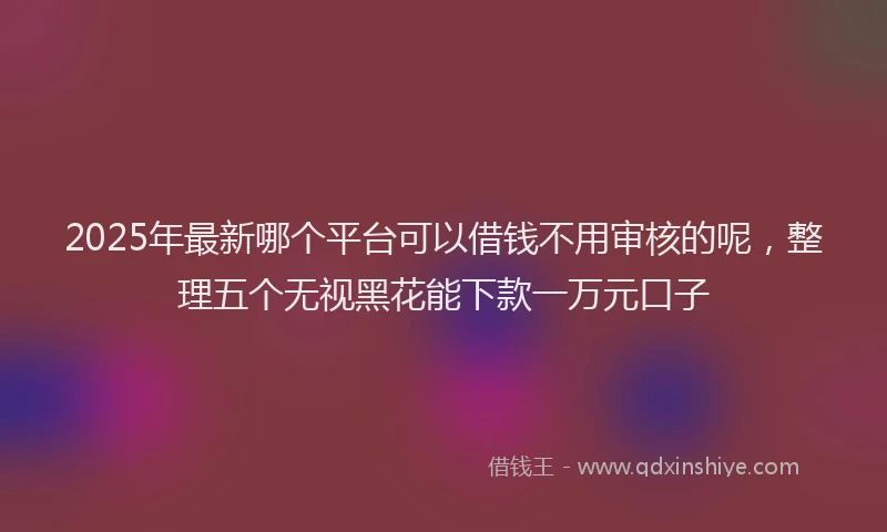 2025年最新哪个平台可以借钱不用审核的呢，整理五个无视黑花能下款一万元口子
