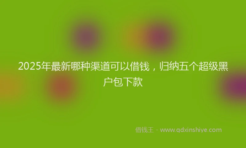 2025年最新哪种渠道可以借钱，归纳五个超级黑户包下款
