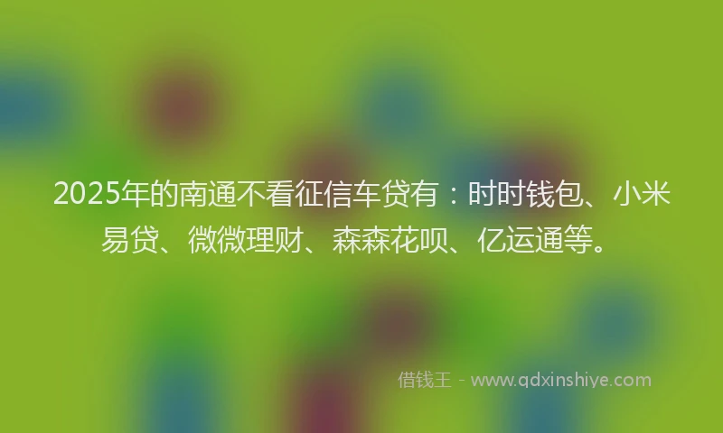 2025年的南通不看征信车贷有：时时钱包、小米易贷、微微理财、森森花呗、亿运通等。