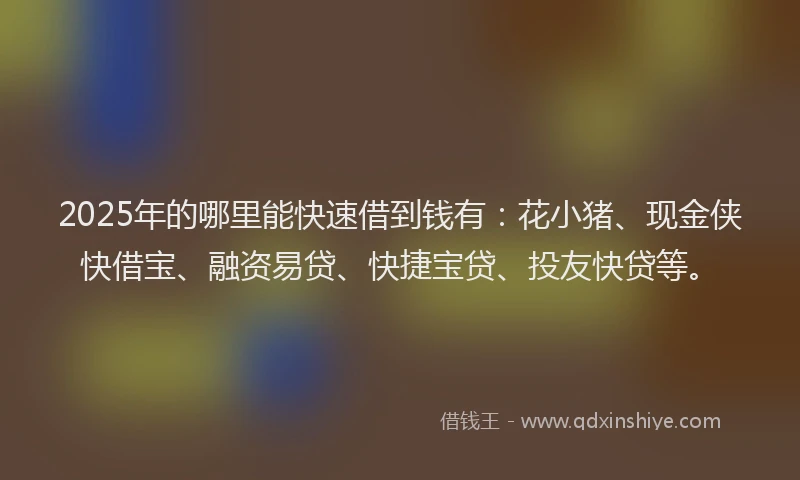 2025年的哪里能快速借到钱有：花小猪、现金侠快借宝、融资易贷、快捷宝贷、投友快贷等。