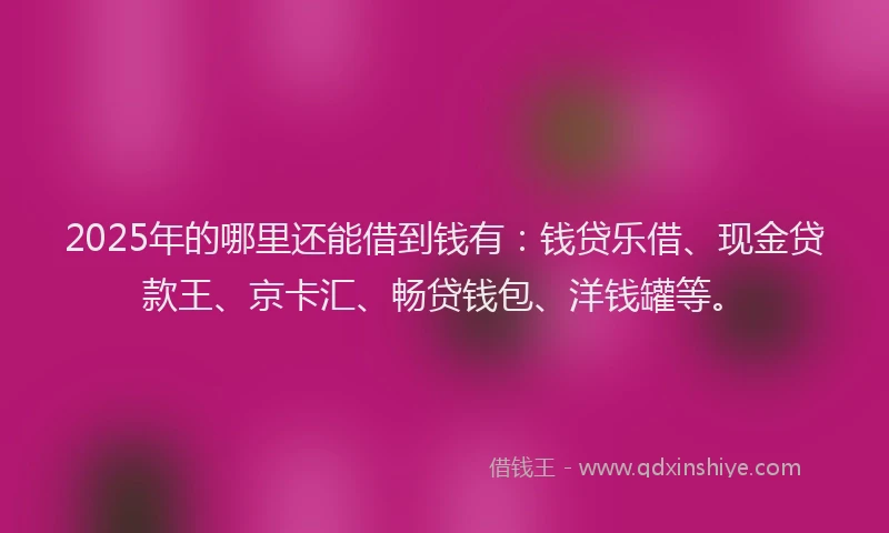 2025年的哪里还能借到钱有：钱贷乐借、现金贷款王、京卡汇、畅贷钱包、洋钱罐等。