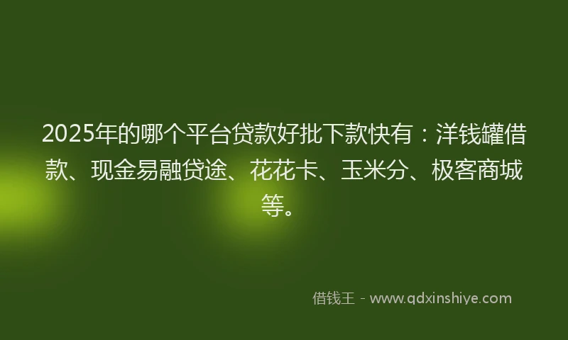2025年的哪个平台贷款好批下款快有：洋钱罐借款、现金易融贷途、花花卡、玉米分、极客商城等。