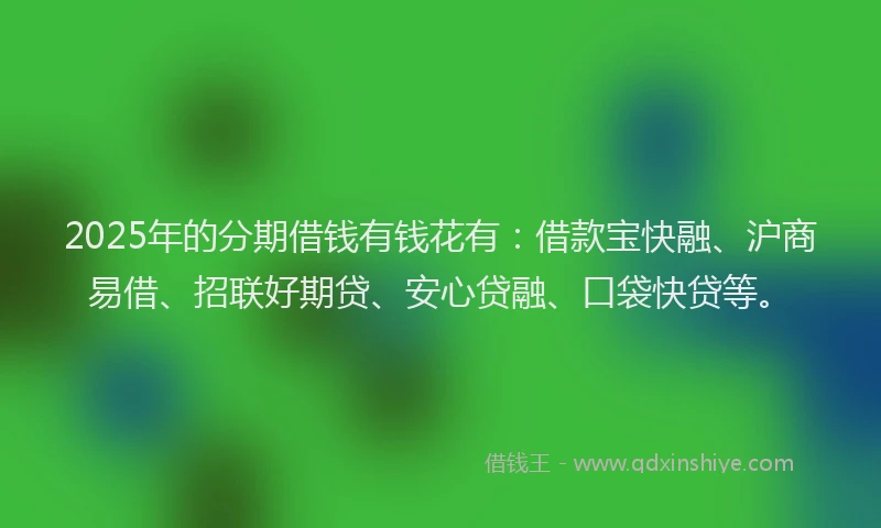 2025年的分期借钱有钱花有：借款宝快融、沪商易借、招联好期贷、安心贷融、口袋快贷等。