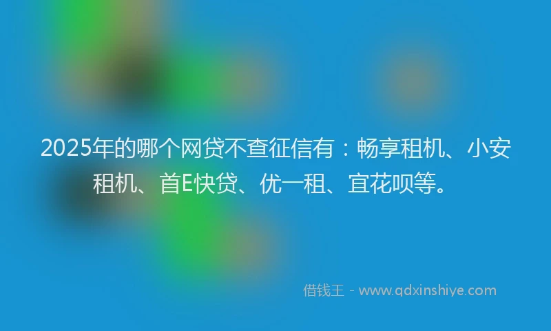 2025年的哪个网贷不查征信有：畅享租机、小安租机、首E快贷、优一租、宜花呗等。