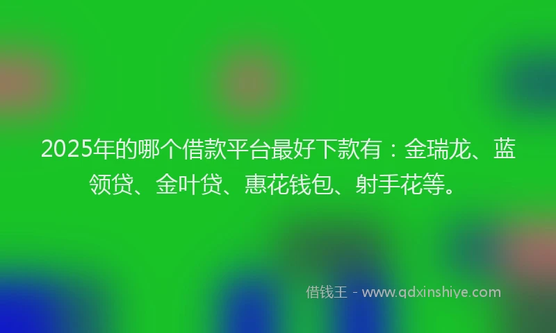2025年的哪个借款平台最好下款有：金瑞龙、蓝领贷、金叶贷、惠花钱包、射手花等。