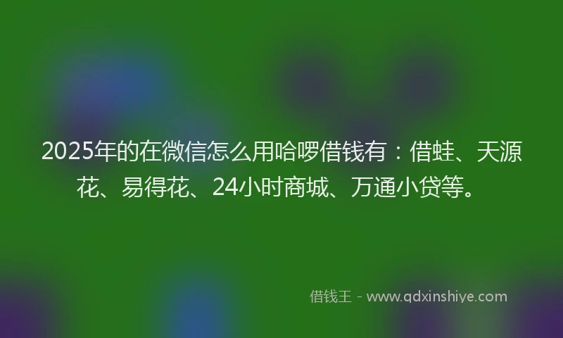 2025年的在微信怎么用哈啰借钱有：借蛙、天源花、易得花、24小时商城、万通小贷等。