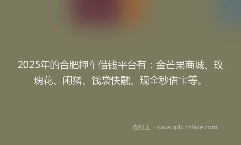 2025年的合肥押车借钱平台有：金芒果商城、玫瑰花、闲猪、钱袋快融、现金秒借宝等。