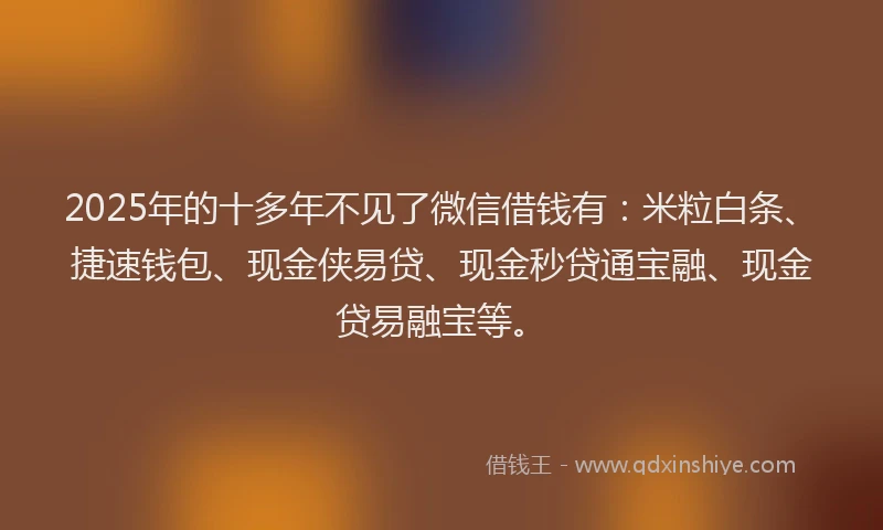 2025年的十多年不见了微信借钱有：米粒白条、捷速钱包、现金侠易贷、现金秒贷通宝融、现金贷易融宝等。