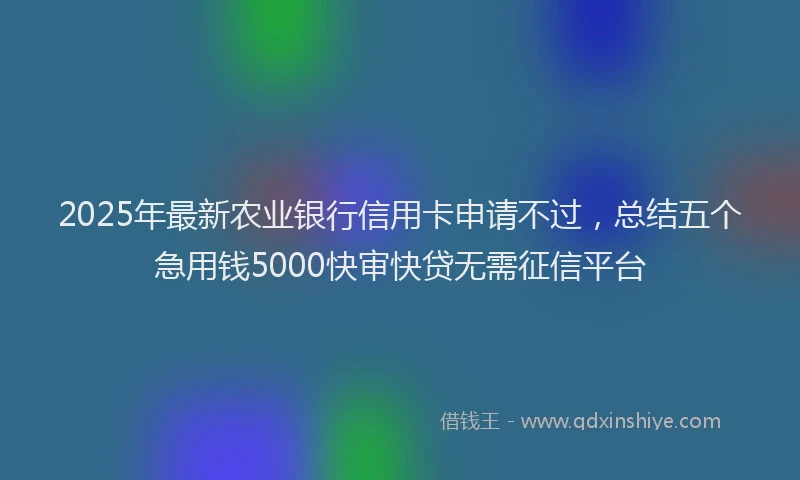 2025年最新农业银行信用卡申请不过，总结五个急用钱5000快审快贷无需征信平台