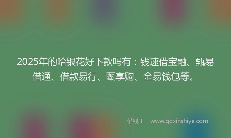 2025年的哈银花好下款吗有：钱速借宝融、甄易借通、借款易行、甄享购、金易钱包等。