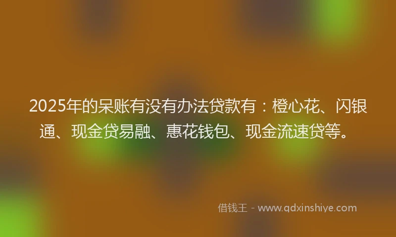 2025年的呆账有没有办法贷款有：橙心花、闪银通、现金贷易融、惠花钱包、现金流速贷等。