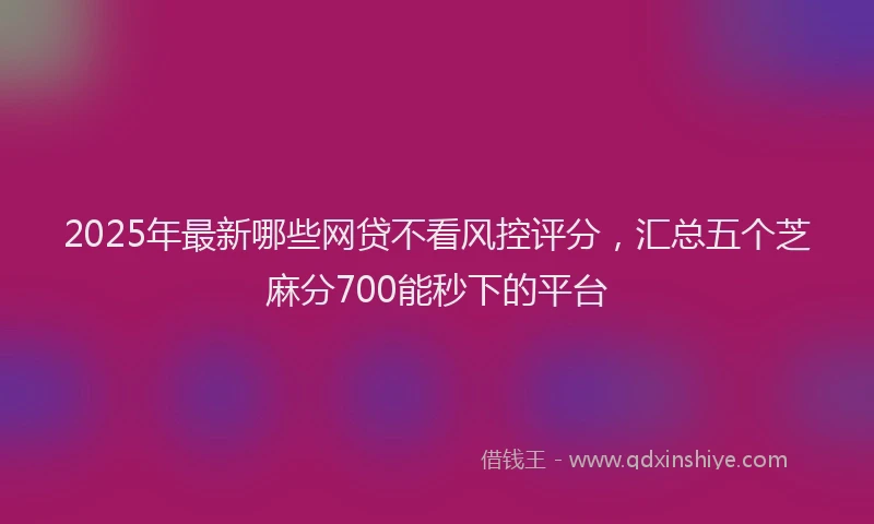 2025年最新哪些网贷不看风控评分，汇总五个芝麻分700能秒下的平台