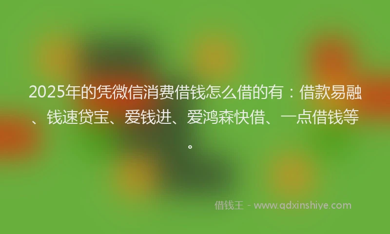 2025年的凭微信消费借钱怎么借的有：借款易融、钱速贷宝、爱钱进、爱鸿森快借、一点借钱等。