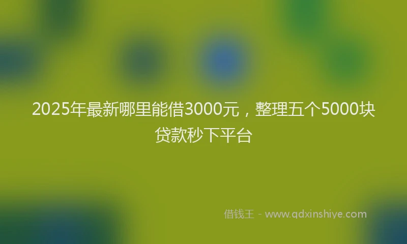 2025年最新哪里能借3000元，整理五个5000块贷款秒下平台