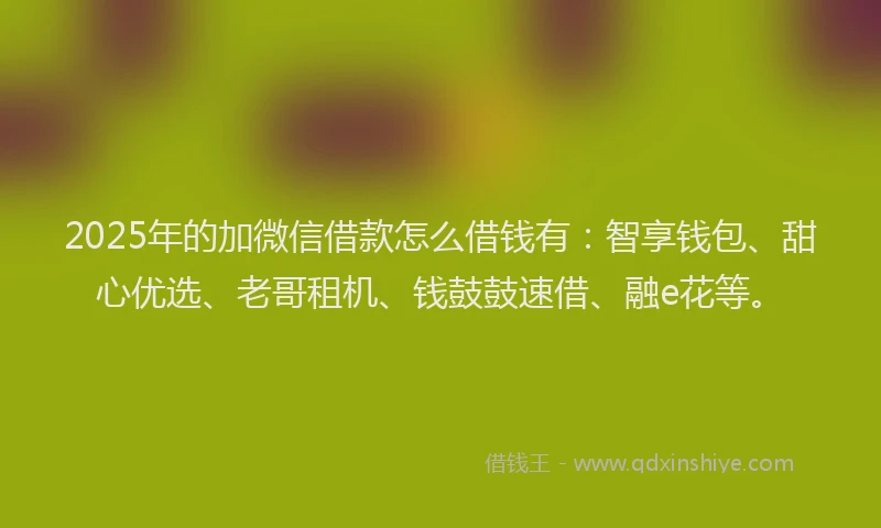 2025年的加微信借款怎么借钱有：智享钱包、甜心优选、老哥租机、钱鼓鼓速借、融e花等。