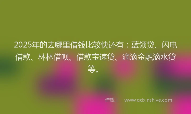 2025年的去哪里借钱比较快还有：蓝领贷、闪电借款、林林借呗、借款宝速贷、滴滴金融滴水贷等。