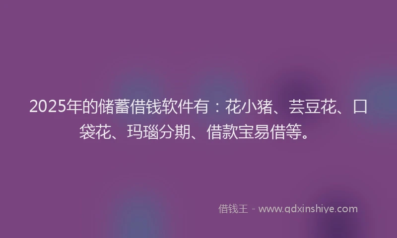 2025年的储蓄借钱软件有：花小猪、芸豆花、口袋花、玛瑙分期、借款宝易借等。