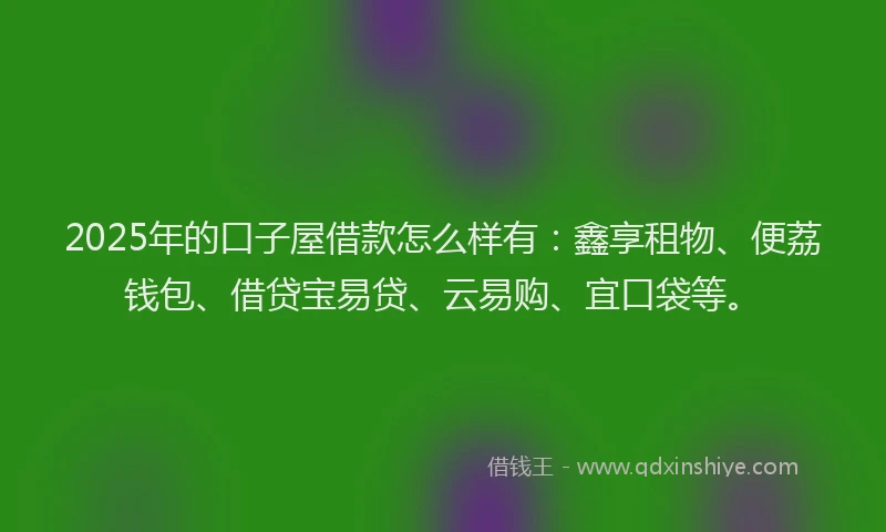 2025年的口子屋借款怎么样有：鑫享租物、便荔钱包、借贷宝易贷、云易购、宜口袋等。