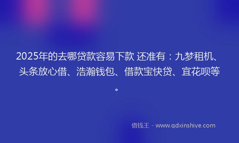 2025年的去哪贷款容易下款 还准有：九梦租机、头条放心借、浩瀚钱包、借款宝快贷、宜花呗等。