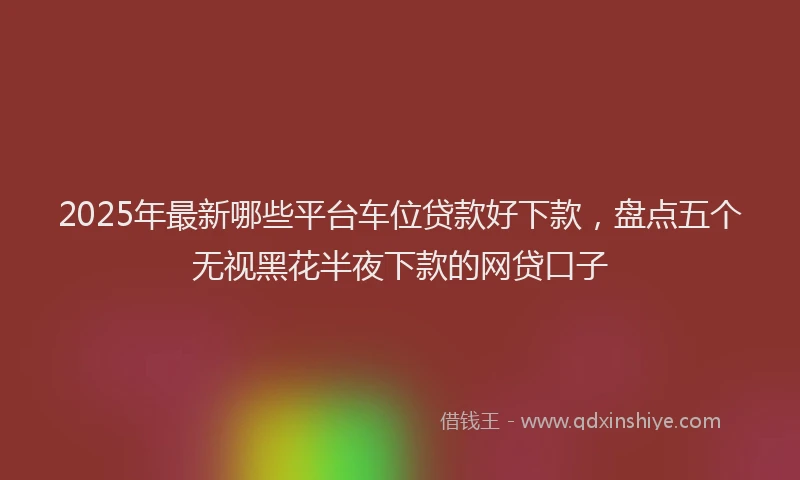 2025年最新哪些平台车位贷款好下款，盘点五个无视黑花半夜下款的网贷口子