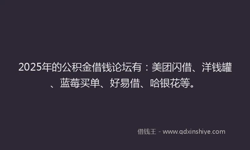 2025年的公积金借钱论坛有：美团闪借、洋钱罐、蓝莓买单、好易借、哈银花等。