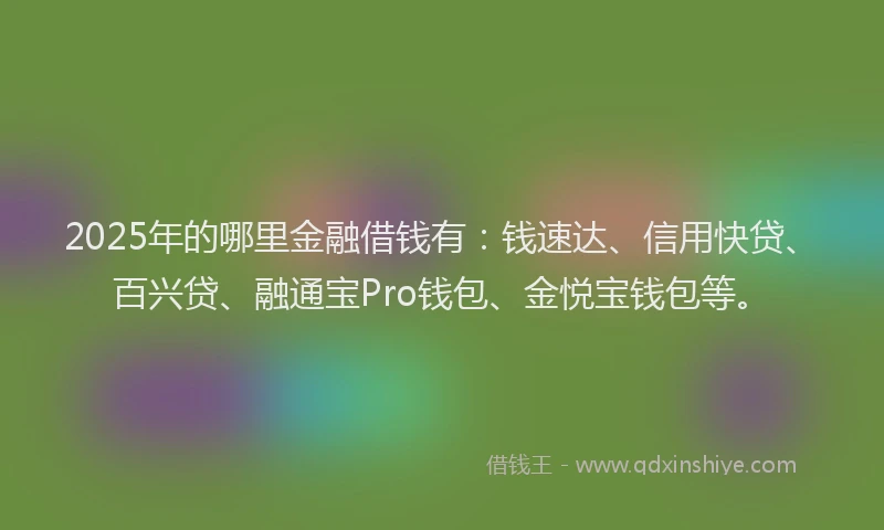 2025年的哪里金融借钱有：钱速达、信用快贷、百兴贷、融通宝Pro钱包、金悦宝钱包等。