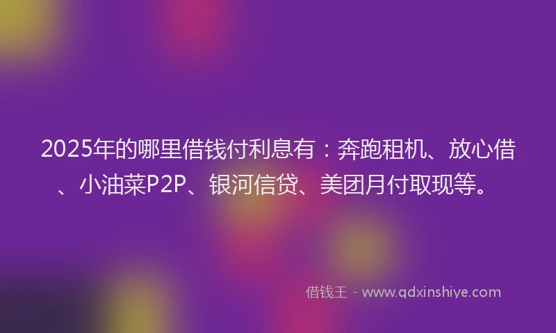 2025年的哪里借钱付利息有：奔跑租机、放心借、小油菜P2P、银河信贷、美团月付取现等。