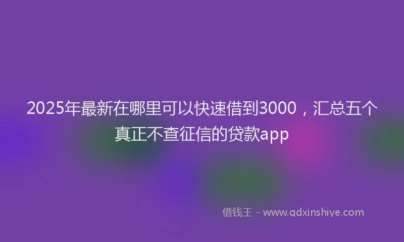 2025年最新在哪里可以快速借到3000，汇总五个真正不查征信的贷款app