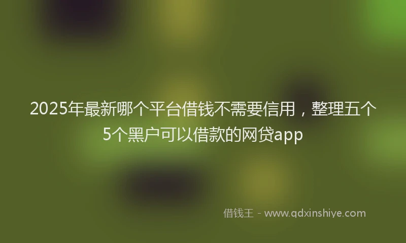 2025年最新哪个平台借钱不需要信用，整理五个5个黑户可以借款的网贷app