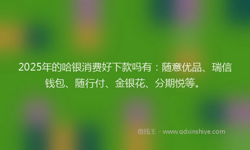 2025年的哈银消费好下款吗有：随意优品、瑞信钱包、随行付、金银花、分期悦等。