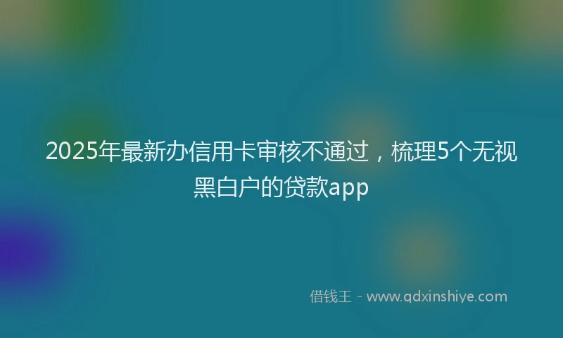 2025年最新办信用卡审核不通过，梳理5个无视黑白户的贷款app