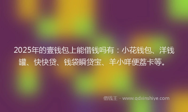2025年的壹钱包上能借钱吗有：小花钱包、洋钱罐、快快贷、钱袋瞬贷宝、羊小咩便荔卡等。
